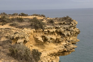 Erosion Prints: Sand stone rock erosion by sea and wind, Southern Portugal coast