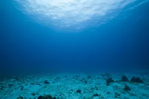 Sandy Bottom and Watersurface, Cozumel, Caribbean Sea, Mexico