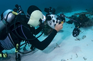 Scuba diver with underwater camera equipment, Ameth Point, Nusa Laut, Lease Islands, Maluku Province, Indonesia