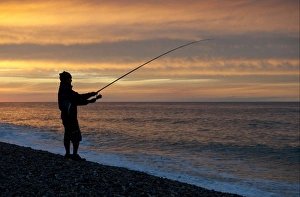 Shingle Prints: Sea angler fishing from shingle beach