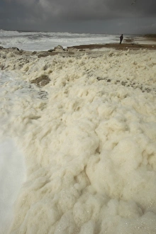 Stormy Prints: Sea foam washing up on beach after storm, Hengistbury Head, Dorset, England, april