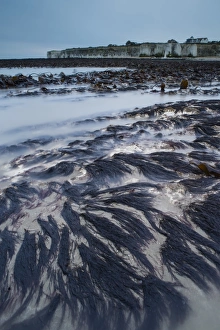 Tide Prints: Seaweed fronds and incoming tide at dawn