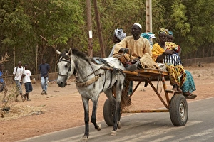 Rides Prints: Senegalese family riding horse pulled cart, Kaolack, Senegal, january