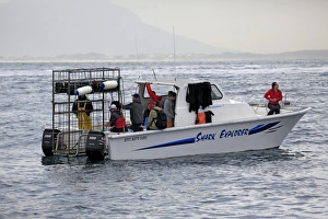 : Shark Explorer shark watching boat with dive cage