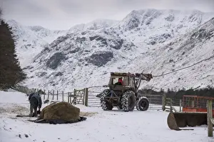 Jobs Prints: Sheep farming, tractor and silage bale for feed in snow covered upland pasture
