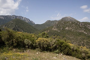 Andalucia Prints: Sierra de Grazalema - Andalucia, Spain