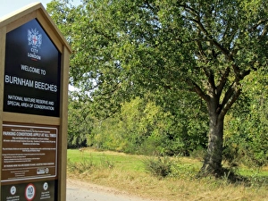 Broad Leaf Prints: Sign in deciduous woodland habitat