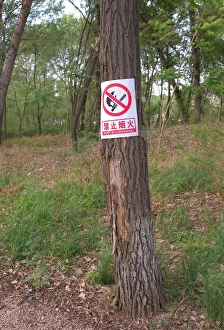 Chinese Prints: Sign warning of fire danger, on tree trunk in forest