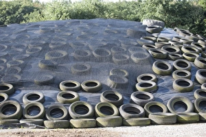 Clamp Prints: Silage clamp with mesh and tyres, Ripon, North Yorkshire, England, August