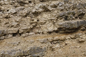 Quarry Prints: Silurian limestone in quarry, showing bedding, Wenlock Edge, Shropshire, England, April