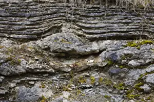Quarry Prints: Silurian limestone in quarry, showing layered bedding over reef formation