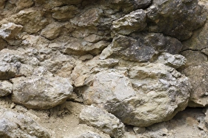 Quarry Prints: Silurian limestone in quarry, showing reef formation