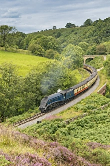 Moorland Prints: Sir Nigel Gresley steam train and carriages