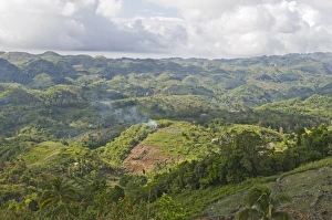 Deforestation Prints: Slash and burn forest clearance and farming on hills