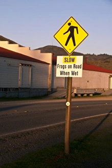 Frog Prints: Slow, Frogs on Road When Wet sign on road verge