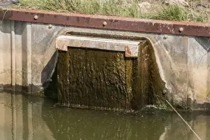 Dyke Prints: Sluice gate used to controle water levels at Deepdale marsh Norfolk