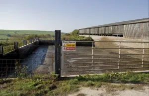 Dangerous Prints: Slurry Lagoon, Toxic Gas, No Entry sign on gate at open slurry store for dairy cattle