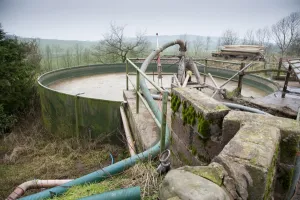 Waste Prints: Slurry store for dairy cattle, Dumfries, Scotland, january