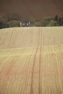 Slopes Prints: Small cottage partly obscured by rolling hills with new spring crop