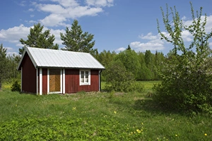Cottages Prints: Small red cottage beside forest, Hallnas, Vasterbotten County, Sweden, may