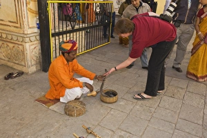 Rajasthan Prints: Snake charmer with cobra, with tourist on street in city
