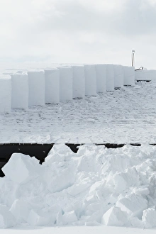 Winters Prints: Snow clearance off roof, Canyon, Yellowstone N. P. Wyoming, U. S. A. February