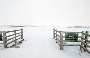 Entrances Prints: Snow covered cattle grid at entrance to coastal grazing marsh habitat