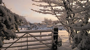 Gates Prints: Snow covered gate and trees, Riverhead, Nottinghamshire, England, December