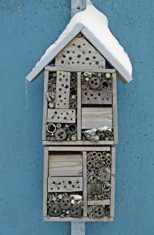 Conserves Prints: Snow covered insect hotel built to attract solitary bees