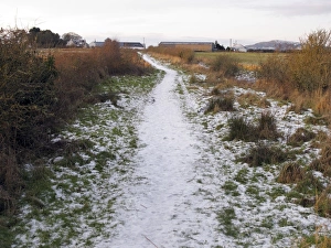 Foot Paths Prints: Snow covered path on reserve, Mersehead RSPB Reserve