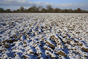 Snow covered ploughed arable field, Bacton, Suffolk, England, november