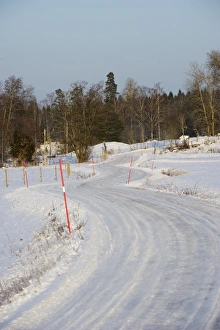 Marker Prints: Snow covered road with markers, Sweden, february