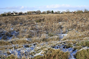 Fallow Prints: Snow covered set-a-side field, Bacton, Suffolk, England, november