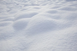 Park Lands Prints: Snow covered urban park, Shirebrook Valley, Sheffield, South Yorkshire, England, december
