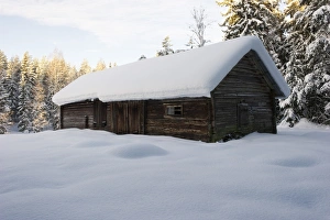 Wintery Prints: Snow covered wooden barn, Sweden, december