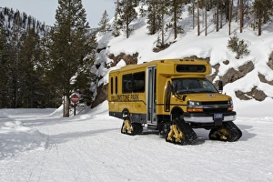 Holidays Prints: Snow vehicle used to access closed roads, Yellowstone N. P. Wyoming, U. S. A. february