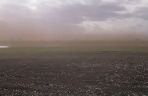 Dirt Prints: Soil blowout on uncultivated peat fen in drying high wind