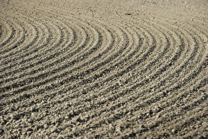 Soil Prints: Soil after sowing, in cultivated arable field, Sweden, may