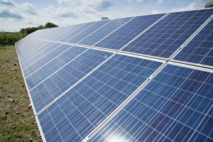 Pigs Prints: Solar panels used to generate electricity for pig farm