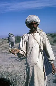 Sports Prints: Sports & Pastimes - Falconery / falconer with Goshawk / Pakistan