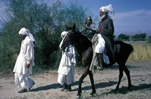 Sports Prints: Sports & Pastimes Falconry / Pakistan Falconer holding Goshawk riding a horse / with trainers