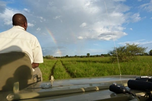 Spotter sitting at front of safari vehicle, in wetland habitat with rainbow, Okavango Delta, Botswana