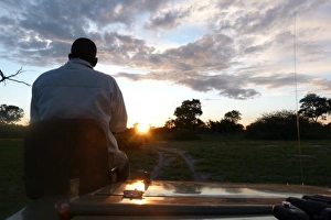 Safaris Prints: Spotter sitting at front of safari vehicle at dusk, Okavango Delta, Botswana