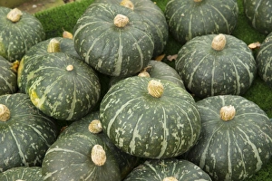 Edible Prints: Squash (Cucurbita sp. ) Sweet DeLite, fruit, Warwickshire, England, September