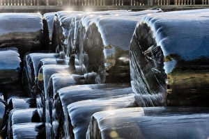 Stacks Prints: Stack of plastic wrapped round silage bales