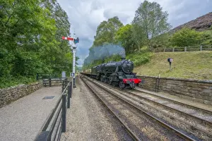 Transports Prints: Steam train and carriages, travelling on heritage railway from Pickering to Goathland