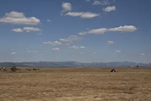 Steppes Prints: The Steppes of Belen in Extremadura