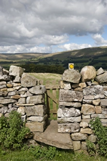 : Stile and gate in drystone wall on public footpath