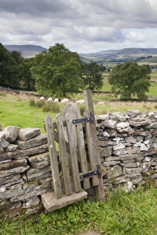 : Stile and gate in drystone wall on public footpath