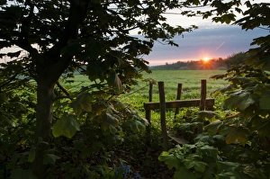 Footpath Prints: Stile leading from woodland to arable farmland at sunrise, Kent, England, April